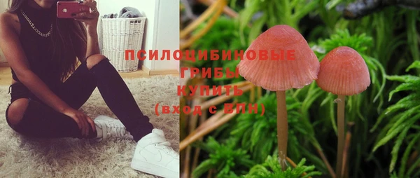 прущий лед Кулебаки